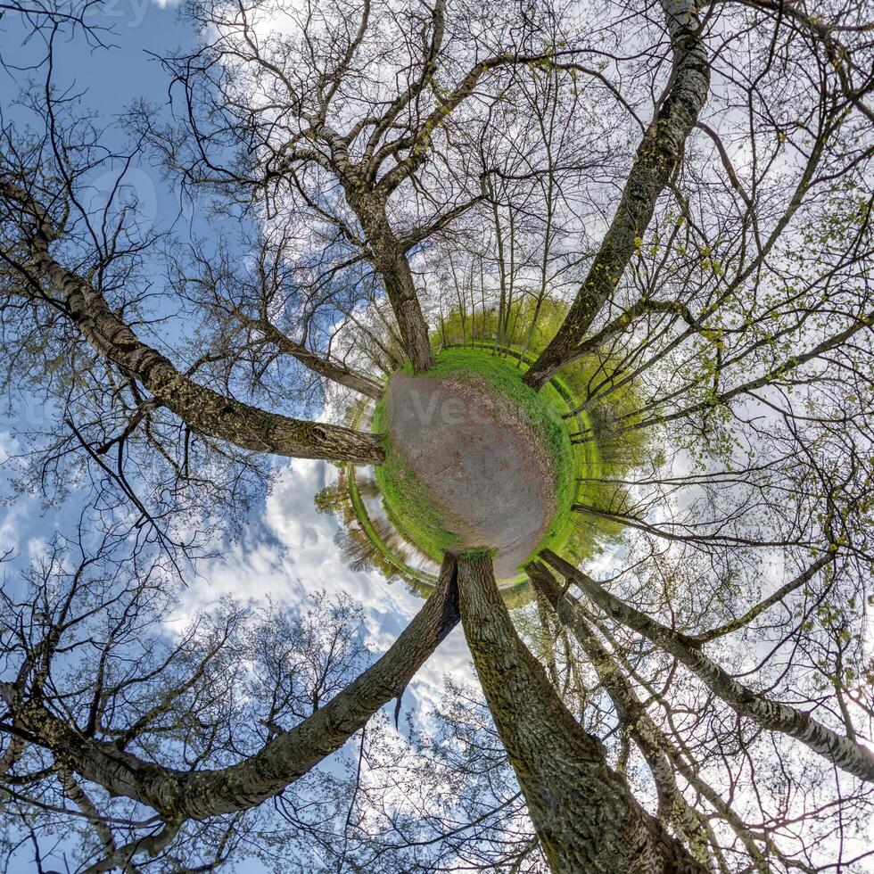 tiny planet transformation of spherical panorama 360 degrees. Spherical abstract aerial view with trees in forest with clumsy branches in blue sky. Curvature of space. photo