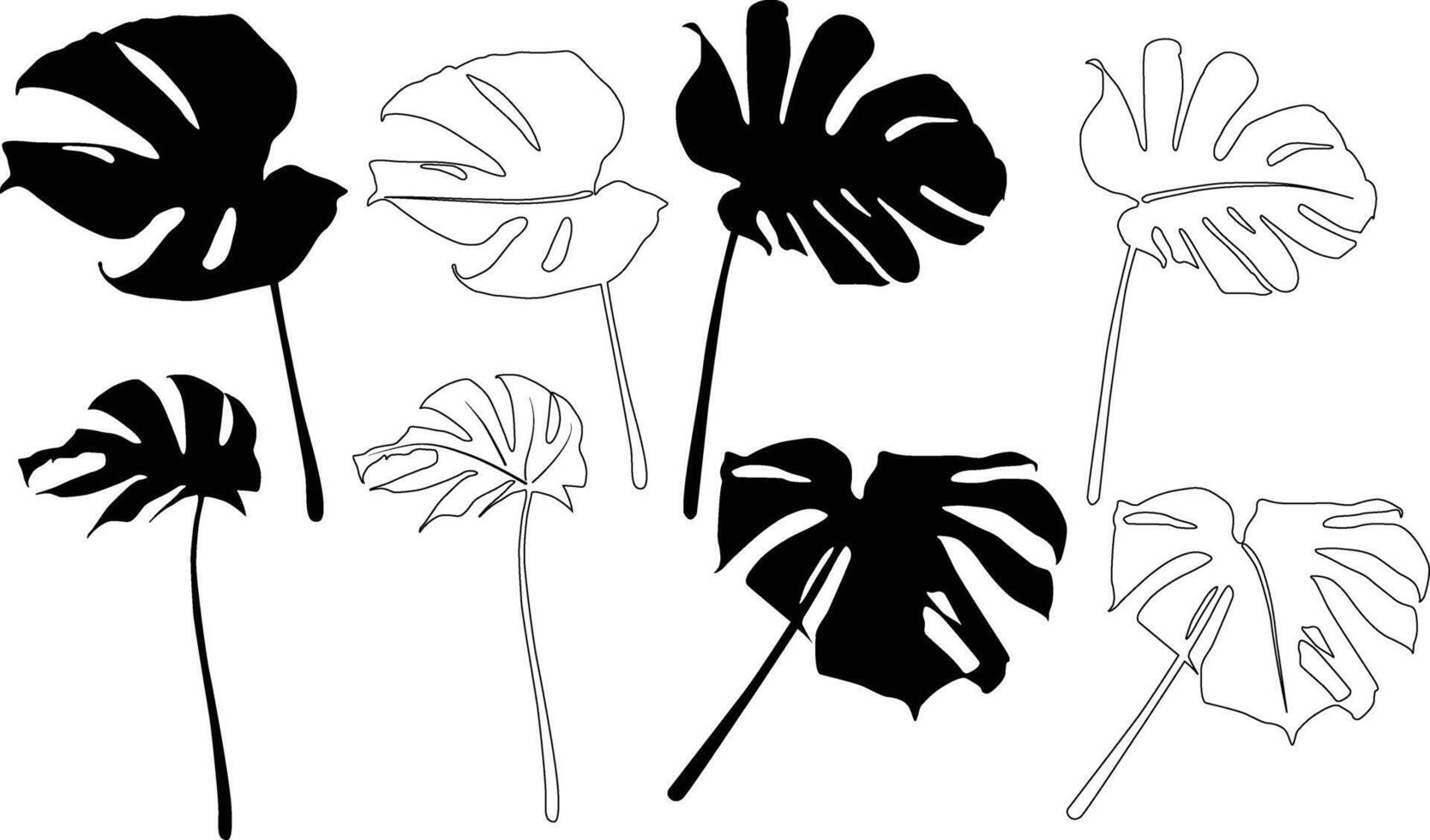 tropical leaves collection vector