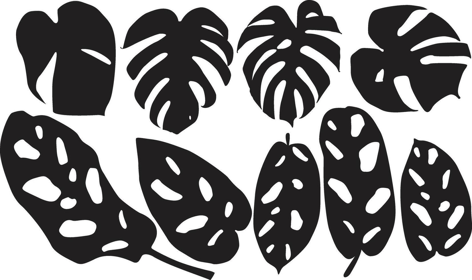 tropical leaves collection vector