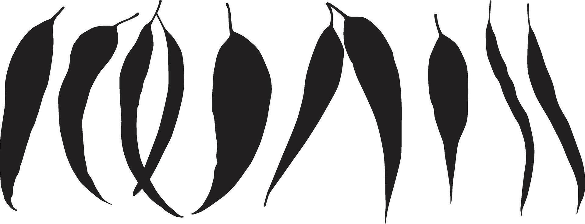 eucalyptus silhouette leafs vector