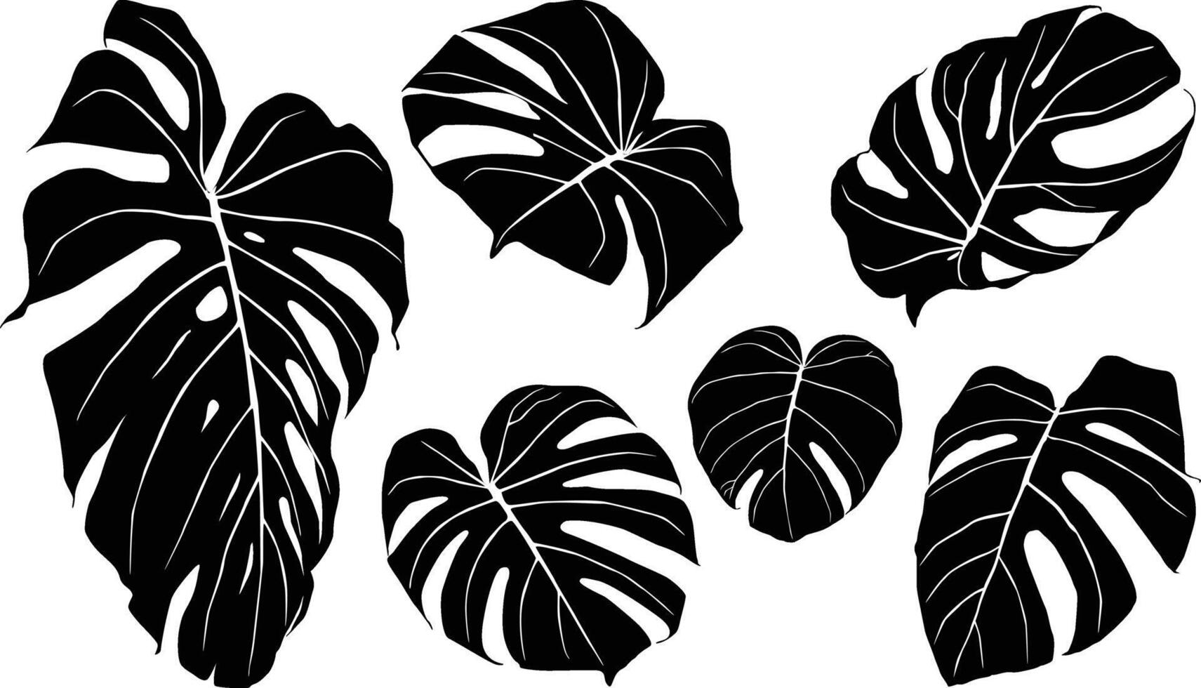 silhouette Monstera deliciosa set vector