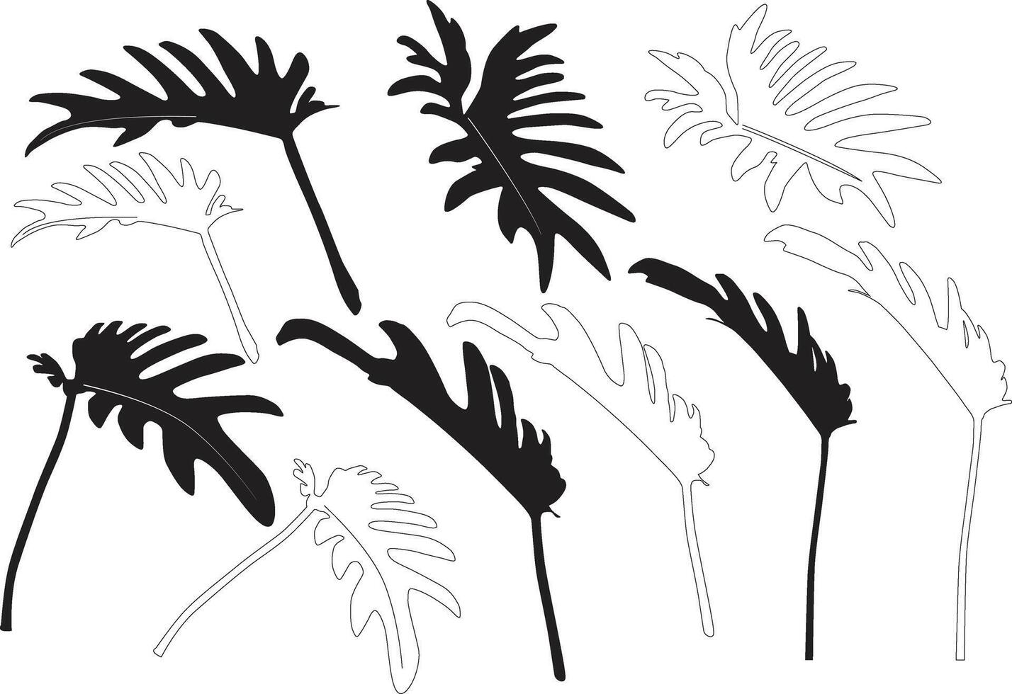 silhouettes tropical leaves vector