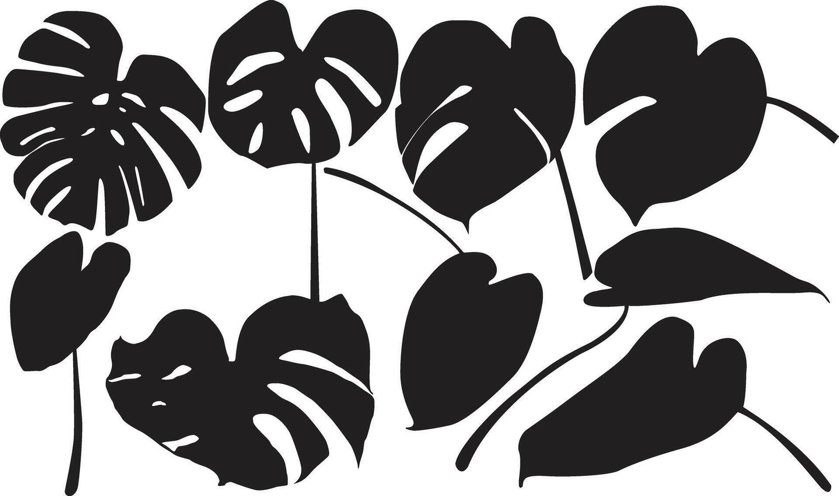 decorative silhouette indoor plants. silhouette monstera deliciosa vector