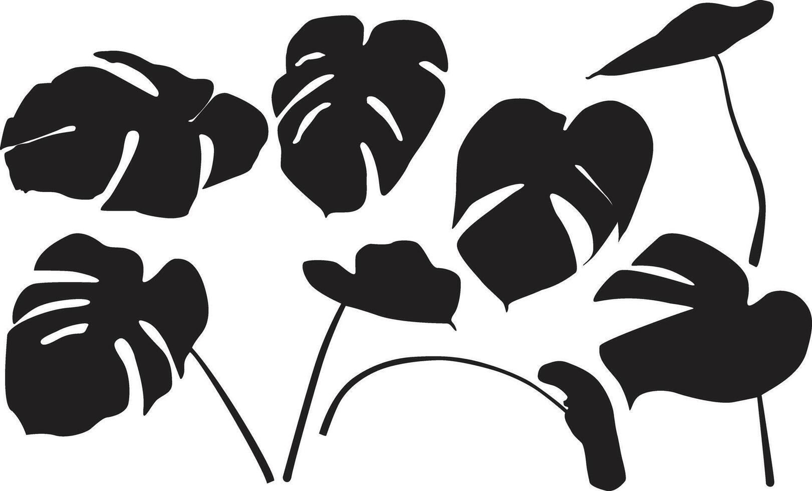 Monstera deliciosa set vector