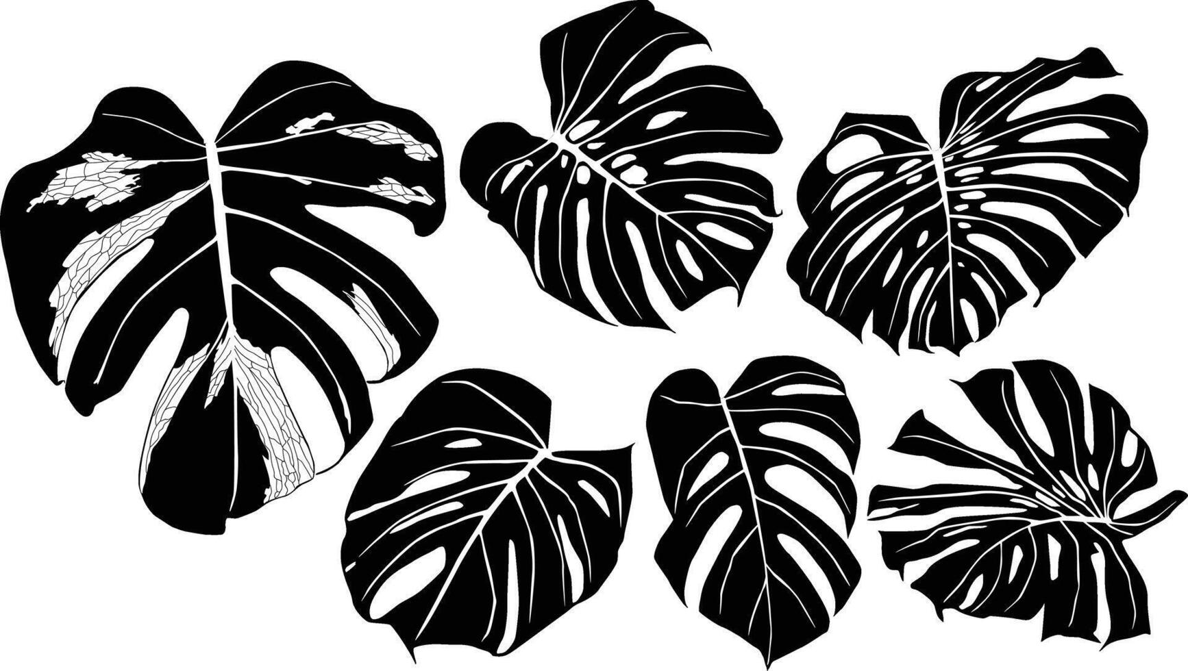 Monstera unique design vector
