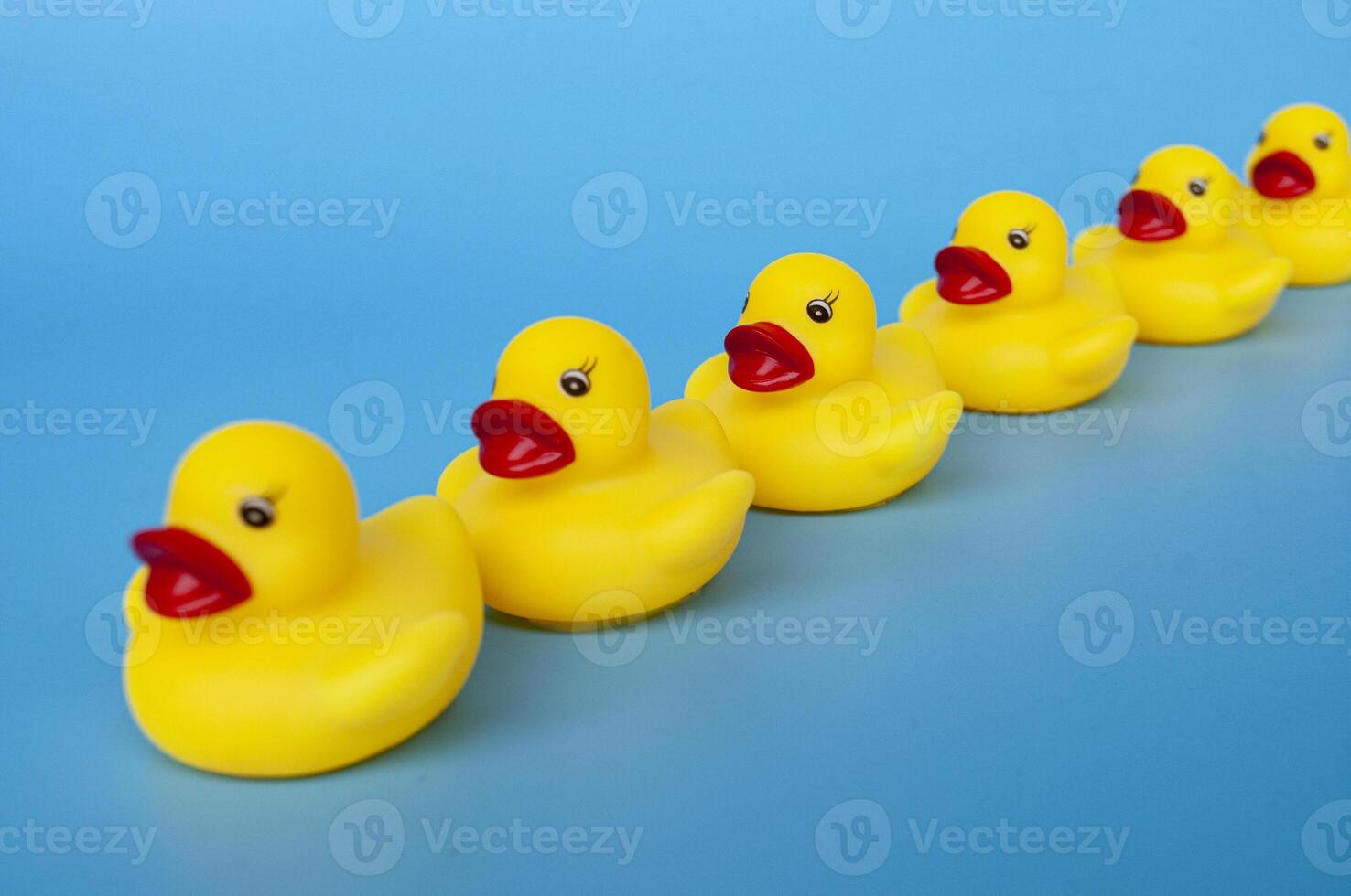 Side view of rubber ducks in line with customizable space for text photo
