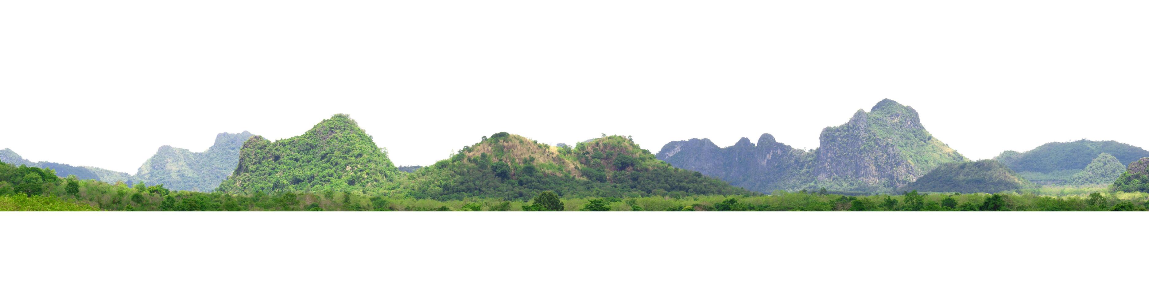 mountain range with a green forest in the foreground and a white background photo