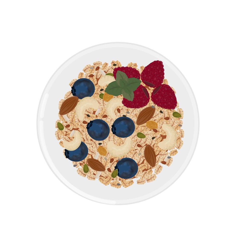 Illustration logo Clip art Top View Muesli granola with berries vector