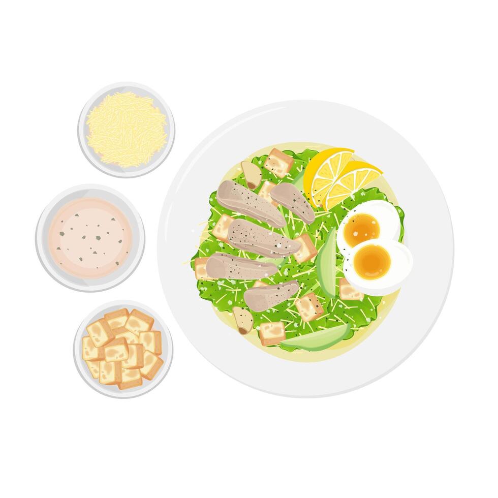 Illustration logo Clip art Caesar salad with croutons parmesan cheese and sauce vector
