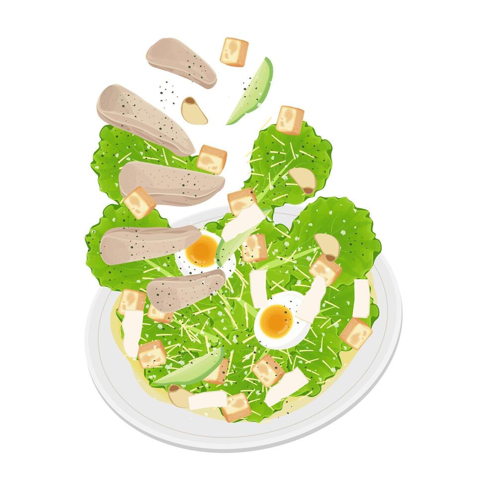 Illustration logo Clip art levitation Chicken Caesar Salad vector