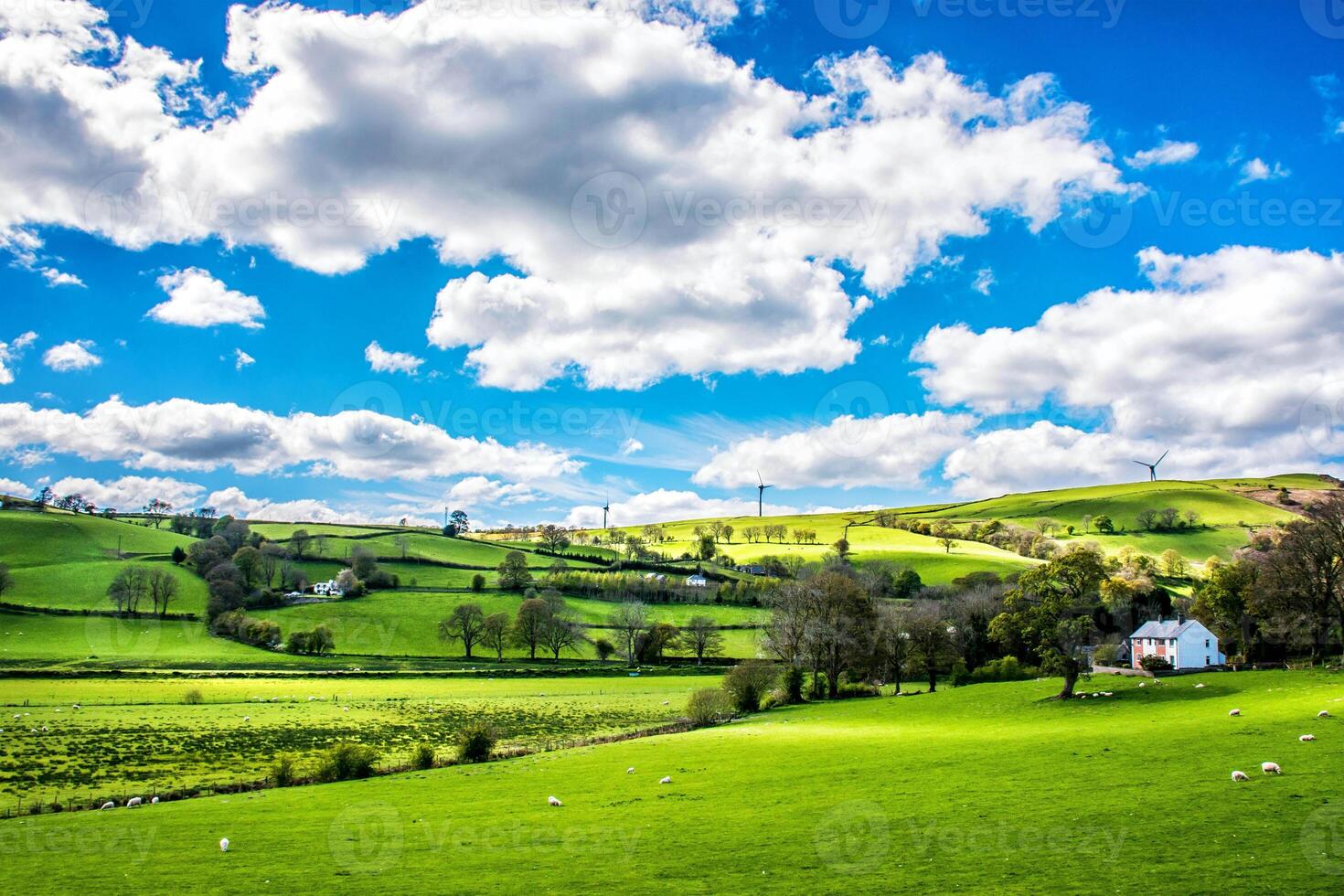 Amazing natural view photo