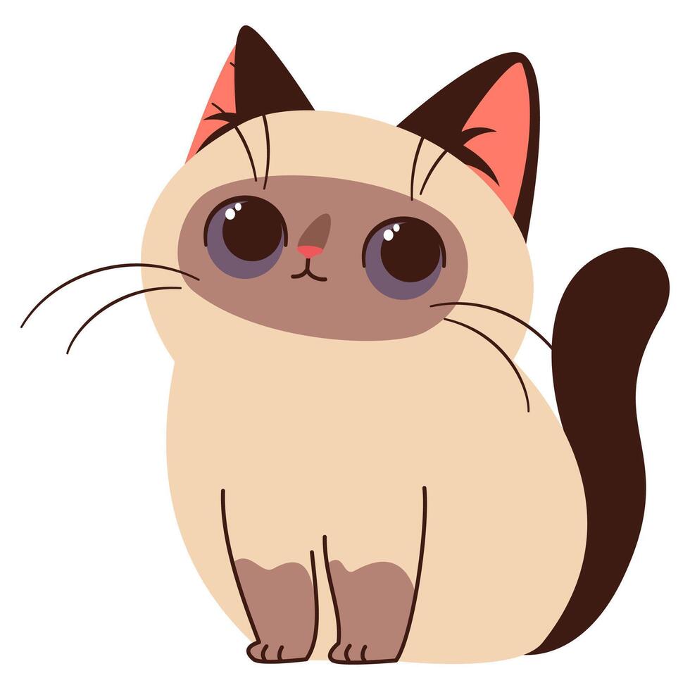 Cute Siamese cat kitten, flat illustration on white background in cartoon style vector
