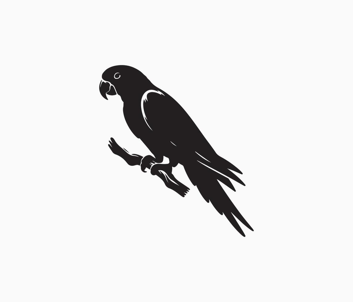 parrot silhouette art illustration vector