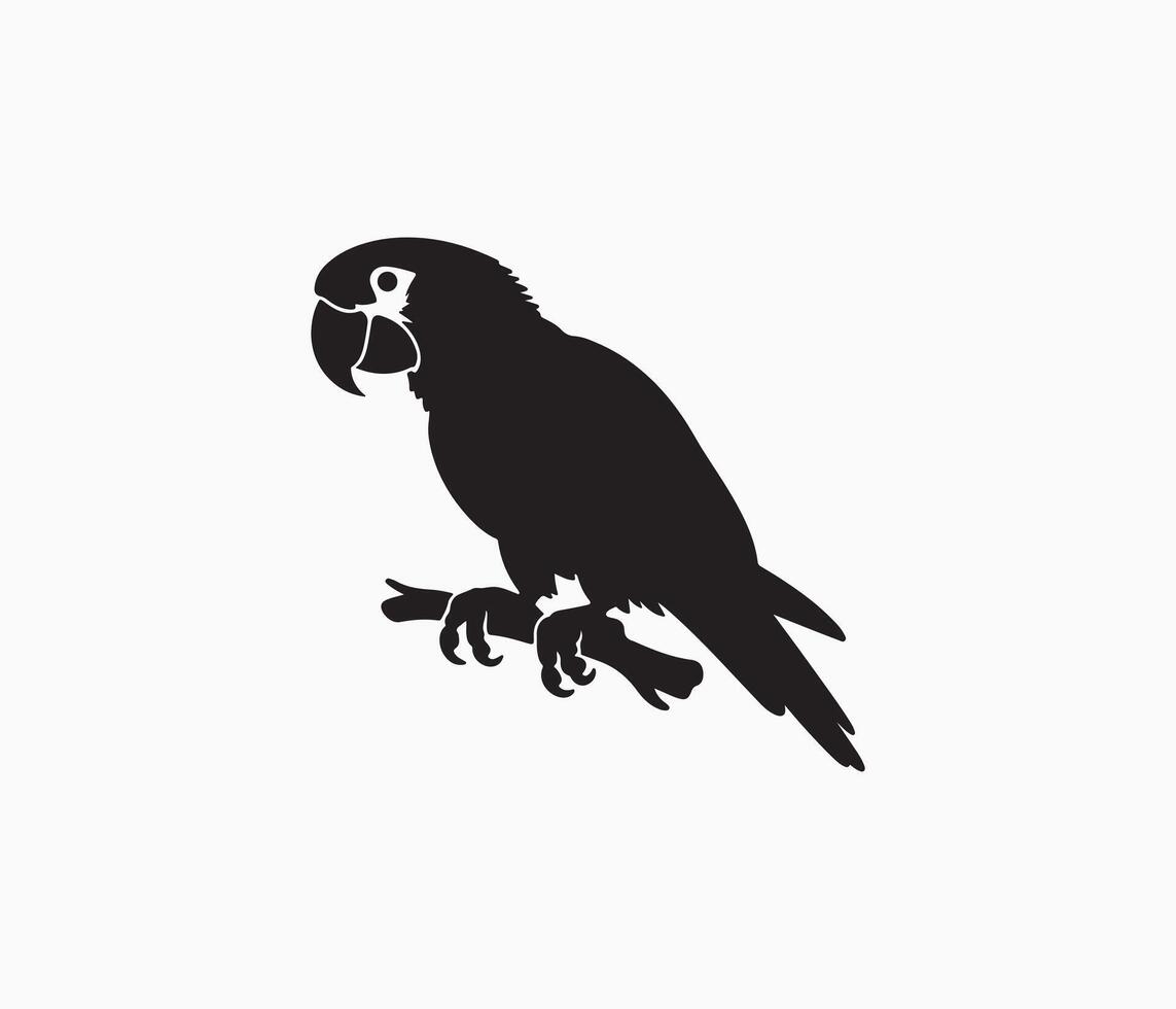parrot silhouette art illustration vector