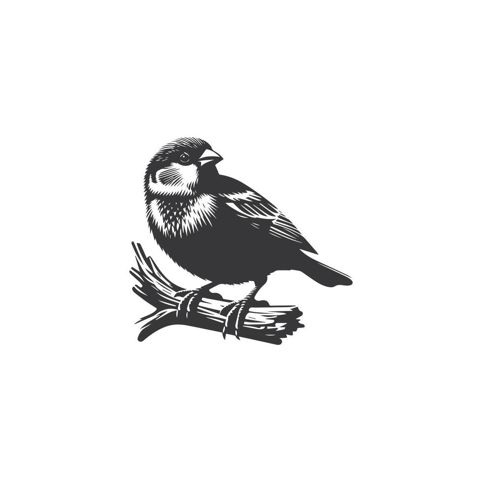 sparrow silhouette art illustration vector