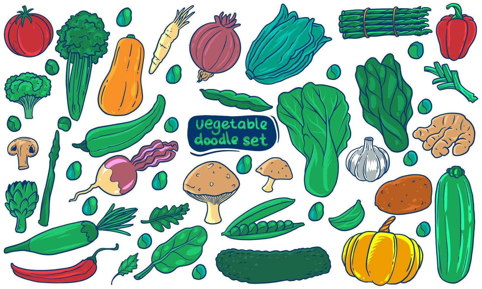 Colorful Vegetable Doodle Illustration set. Hand drawn set of vegetables isolated on white background. vector