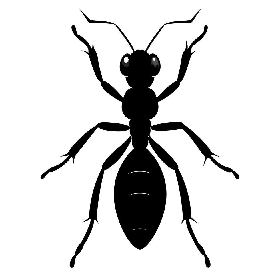 the ant animal silhouette black color illustration vector