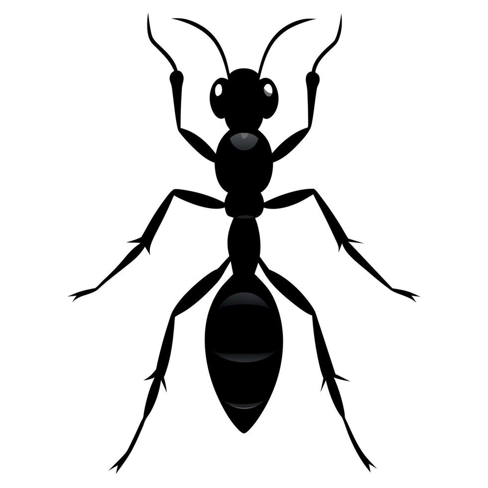 el hormiga animal silueta negro color ilustración vector