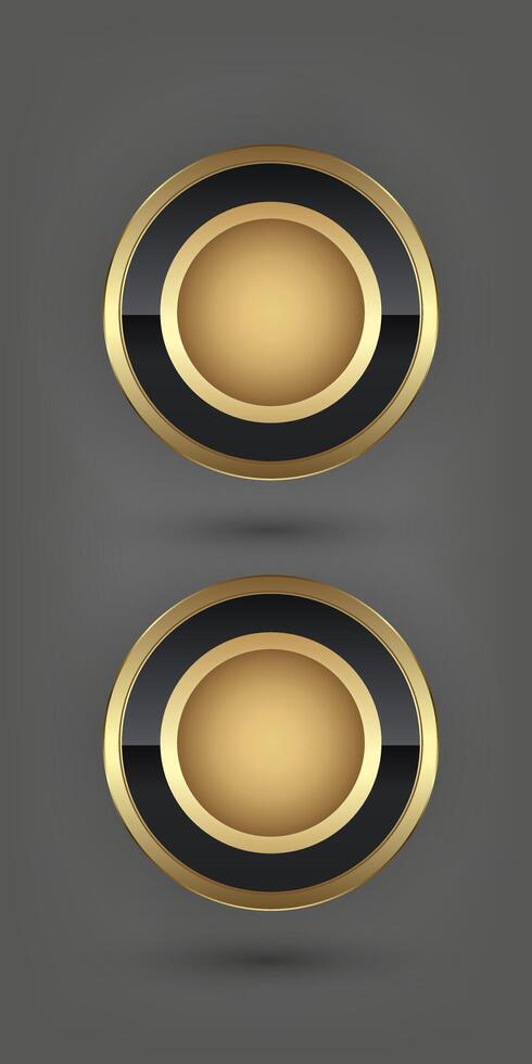 Two Encircling the golden circles is a sleek black ring bordered by thin golden edges. adding to the elegant design vector