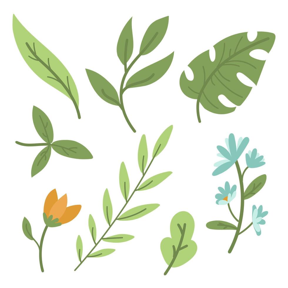 A collection of painted leaves and flowers. Gentle and natural elements of nature. Isolated natural colored elements. A variety of green leaves with orange and blue flowers on a white background vector