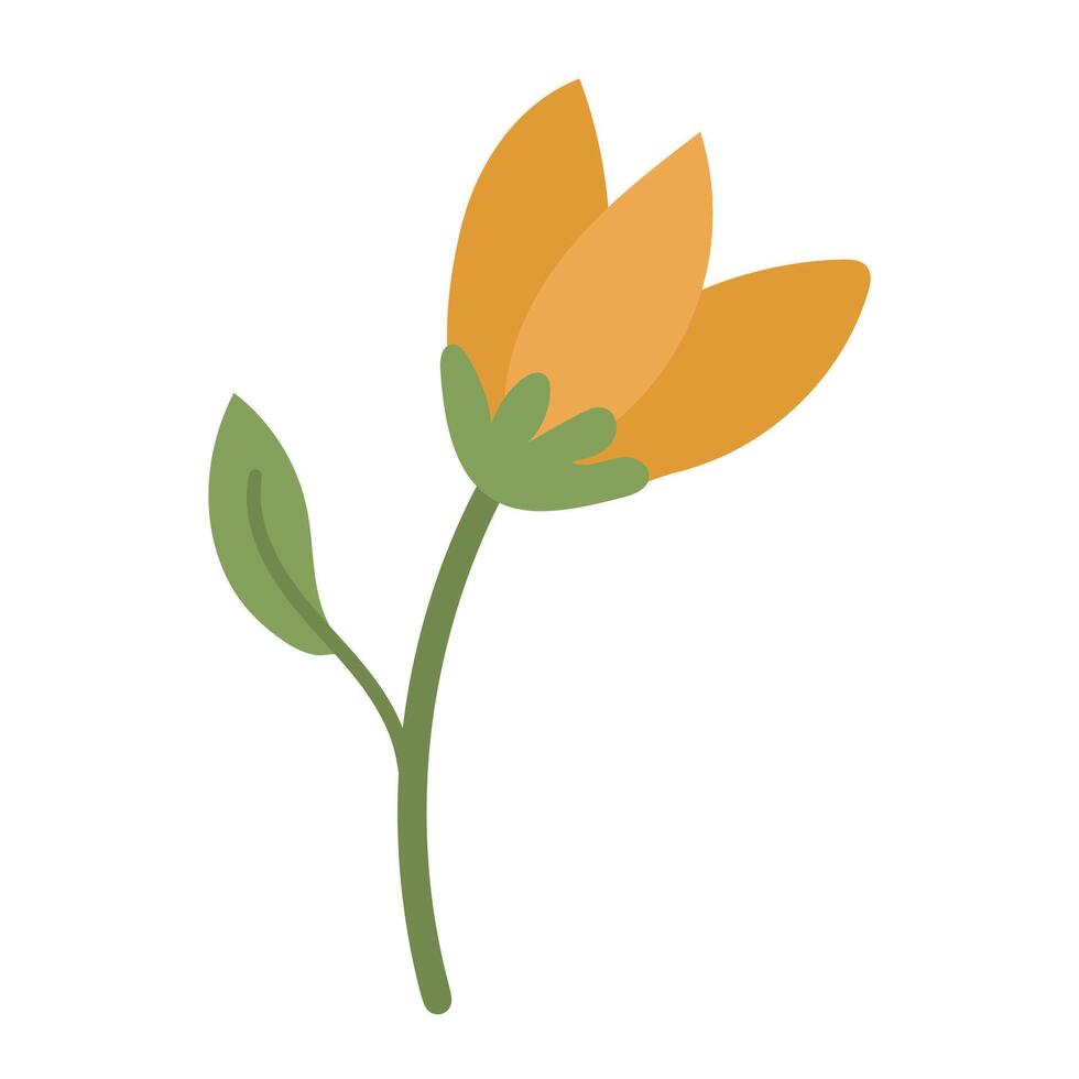 An elegant branch decorated with bright orange flowers on a green trunk with leaves. Flat color illustration. It can be used including greeting cards, invitations, social media graphics and home decor vector