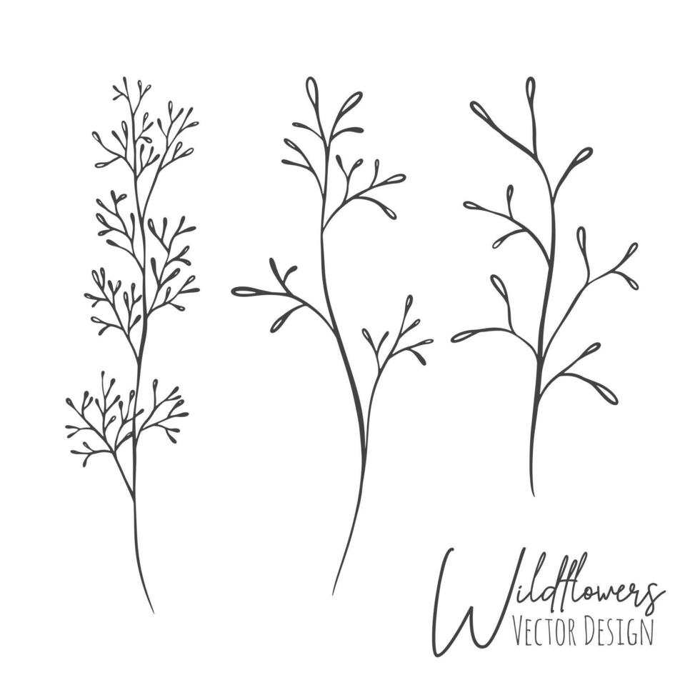 Set of line art wildflowers and grass illustration. Handdrawn botanical contour outline of for wedding, invitation, save the date, card. Trendy elegant greenery collection for web, print, posters. vector