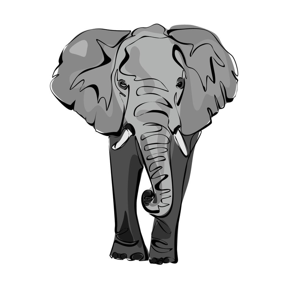 Cute gray elephant isolated on white background. Wild animal with large ears, long trunk and tail vector
