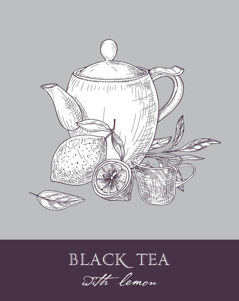 Monochrome sketch of teapot, cup, black tea leaves, flowers and fresh lemon fruit on gray background. Delicious flavored beverage. illustration hand drawn with contour lines in retro style. vector
