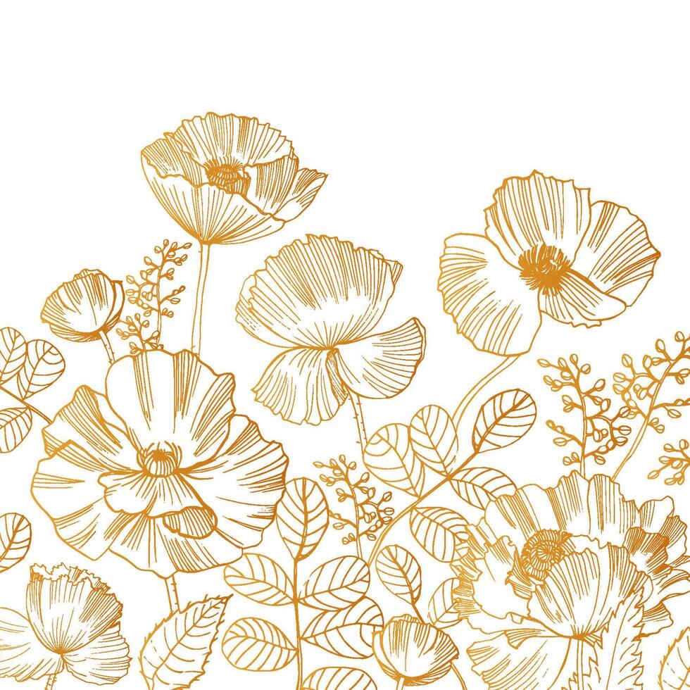 Beautiful square backdrop with blooming poppy flowers and leaves at bottom edge hand drawn with golden contour lines on white background. Gorgeous floral decoration. Botanical illustration. vector