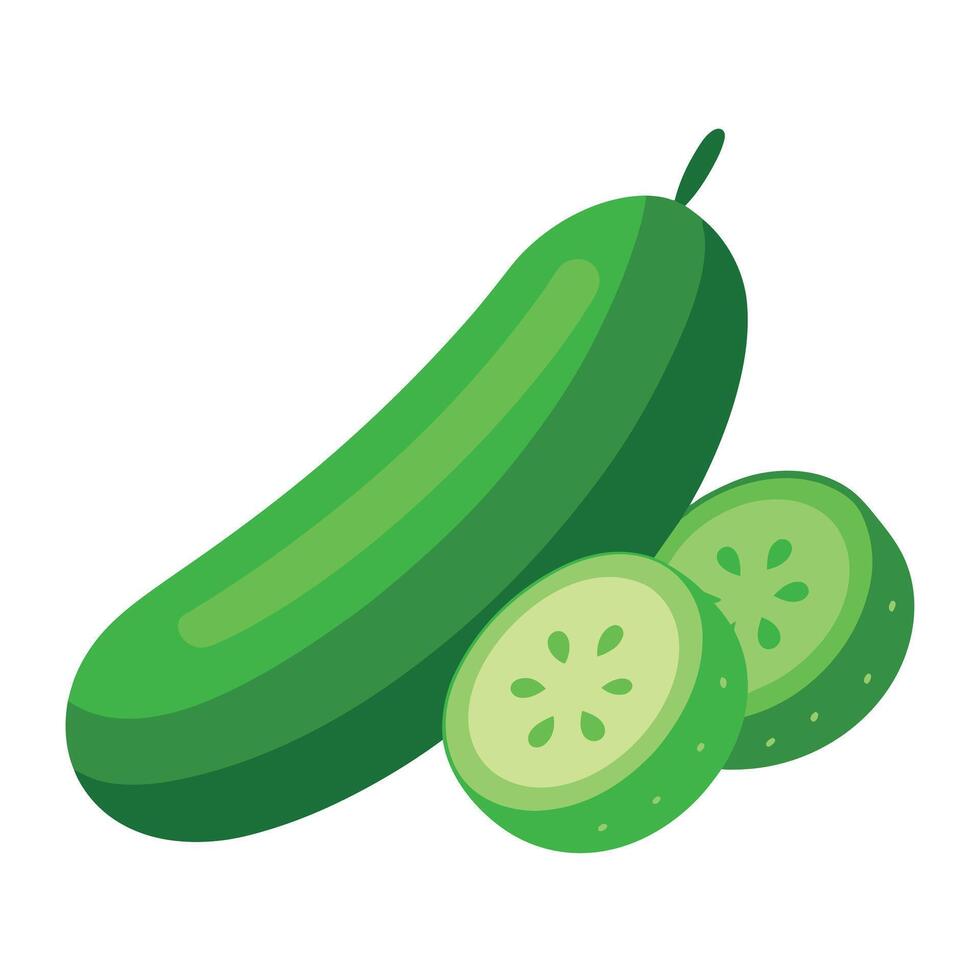 Cucumbers vegetable art illustration flat style vector