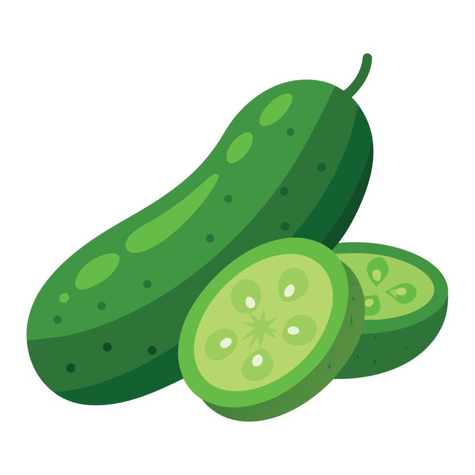 Cucumbers vegetable art illustration flat style vector