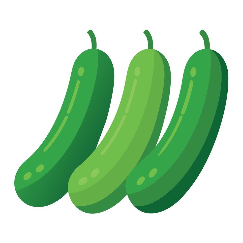 Cucumbers vegetable art illustration flat style vector