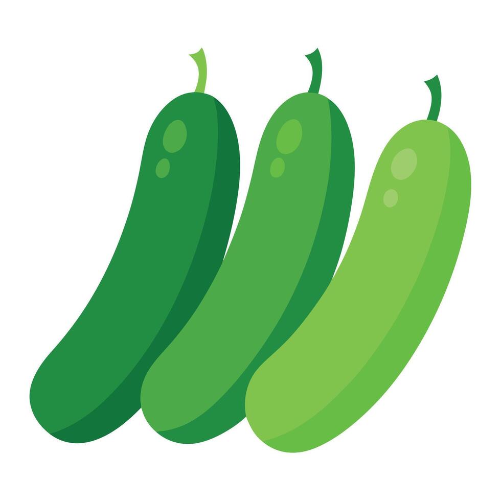 Cucumbers vegetable art illustration flat style vector