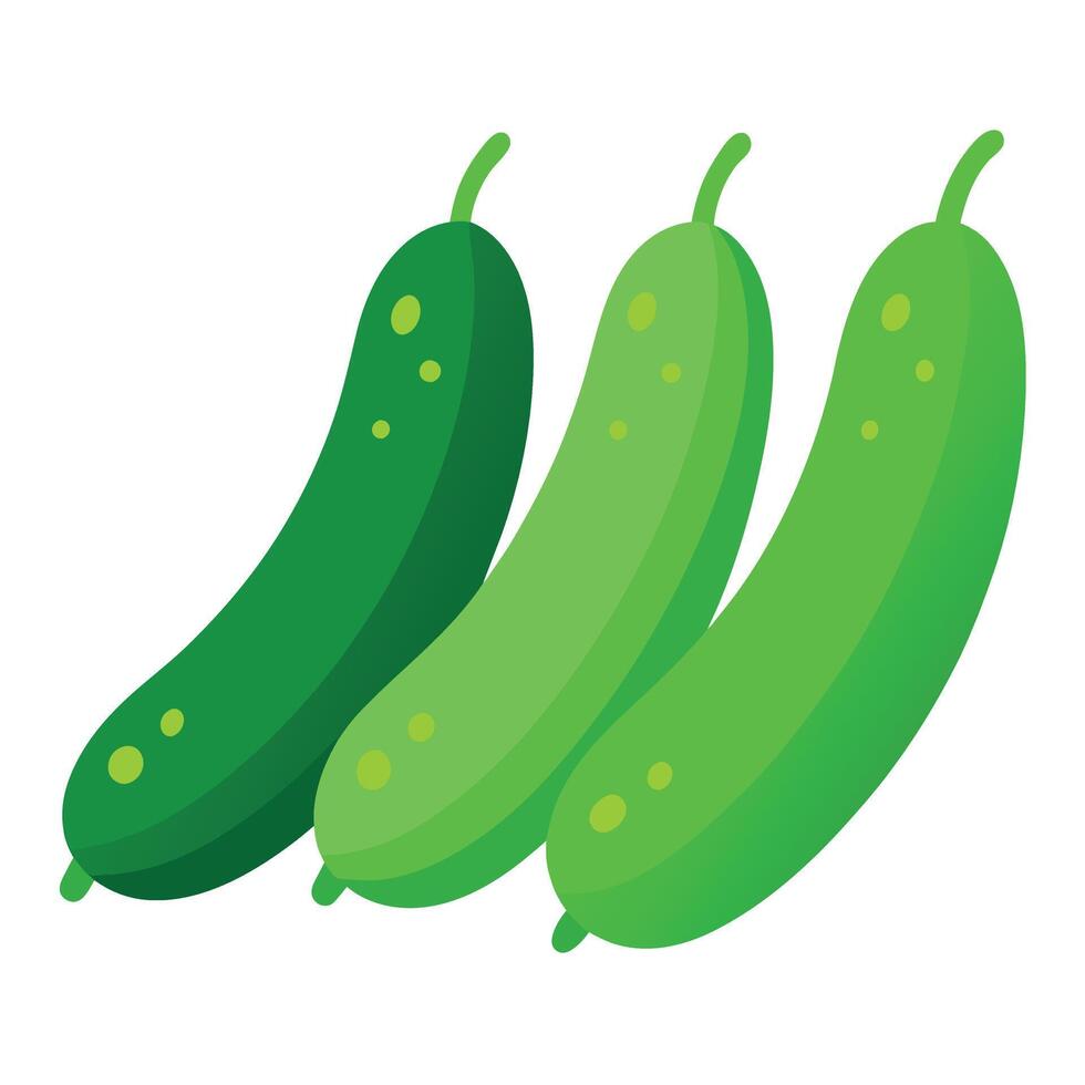 Cucumbers vegetable art illustration flat style vector