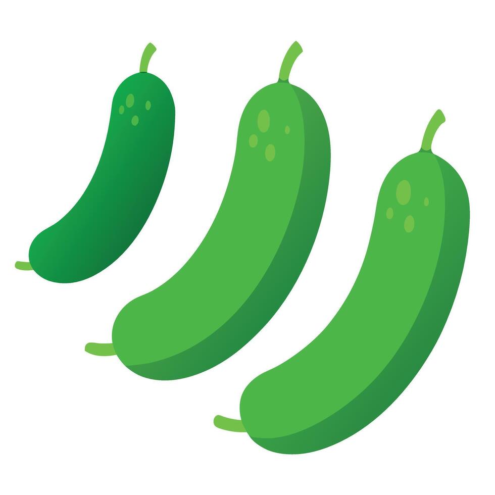 Cucumbers vegetable art illustration flat style vector
