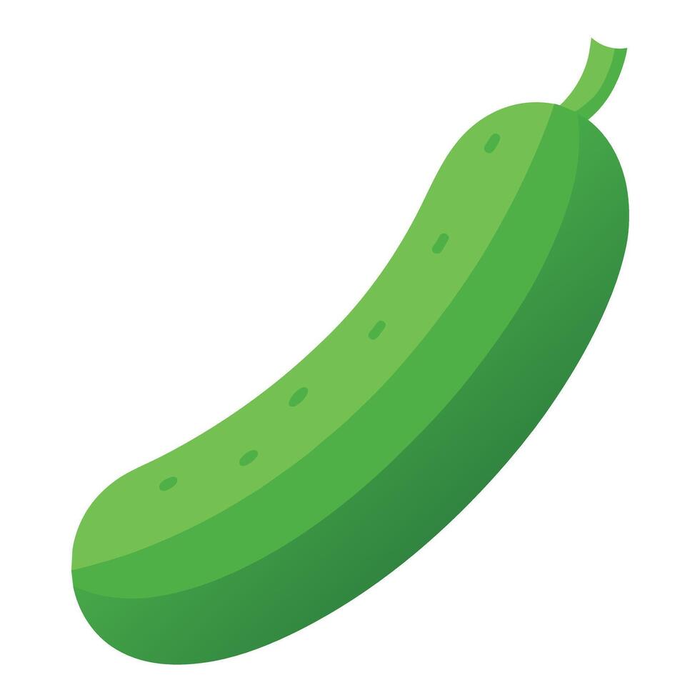 Cucumbers vegetable art illustration flat style vector