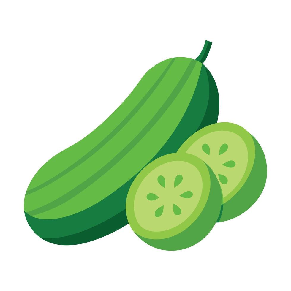 Cucumbers vegetable art illustration flat style vector