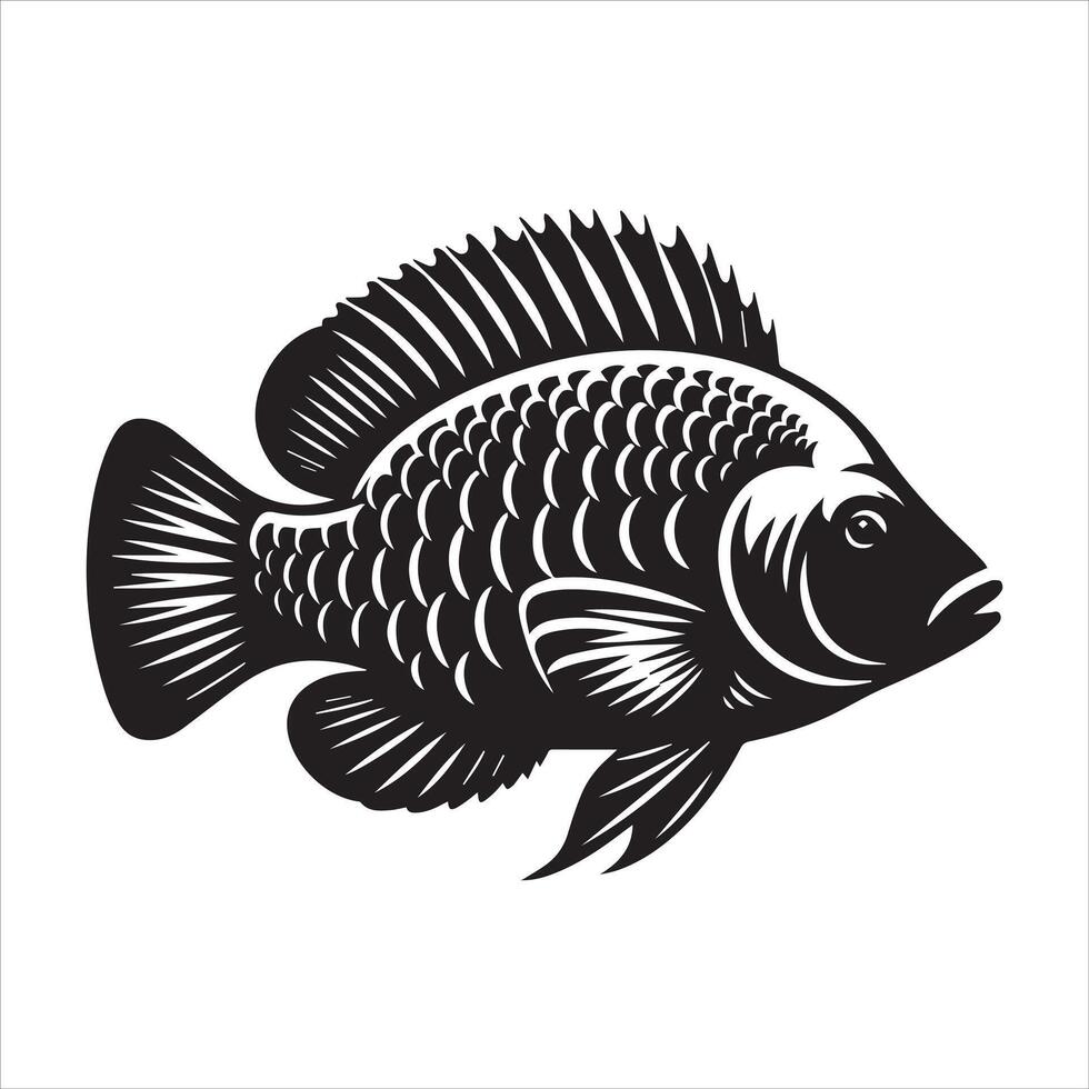 Nile tilapia Fish Outline Graphic - Fish Clipart illustration in black and white vector