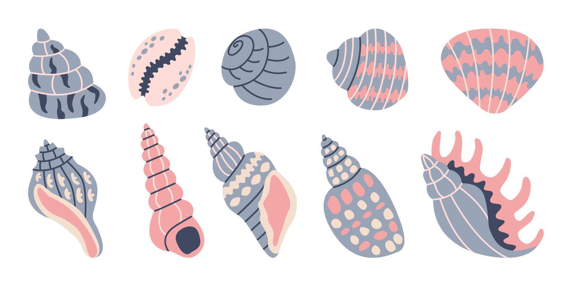 Set of seashells on white background. Ocean exotic underwater seashell conch aquatic mollusk, sea spiral snail, marine starfish. Hello, summer. Vacation. Undersea collection, tropical beach. vector