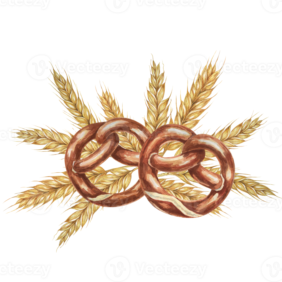 Pretzels with backdrop of golden wheat ears. Watercolor illustration for culinary, bakery, Oktoberfest designs in realistic style. Cereal grain and backed snack clipart for flyers, posters, brewery png