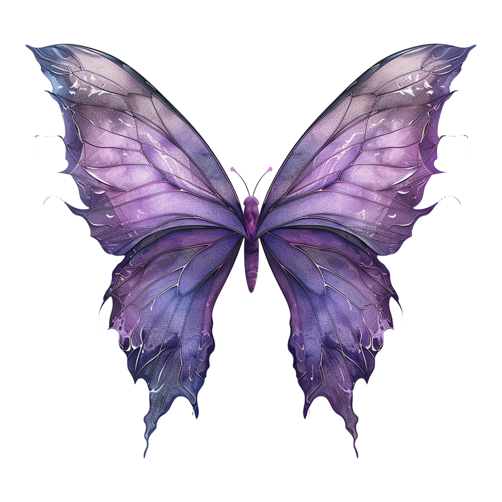 Purple fairy wings isolated on transparent background png