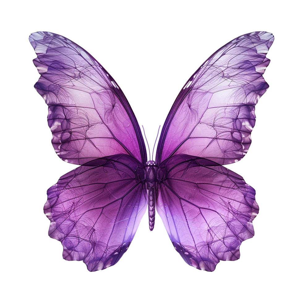 Purple fairy wings isolated on transparent background png
