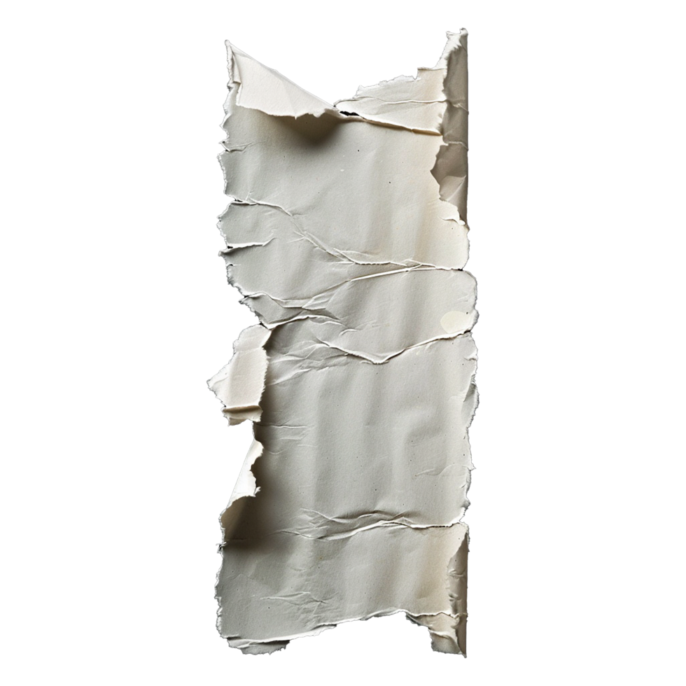 Ripped paper isolated on transparent background png
