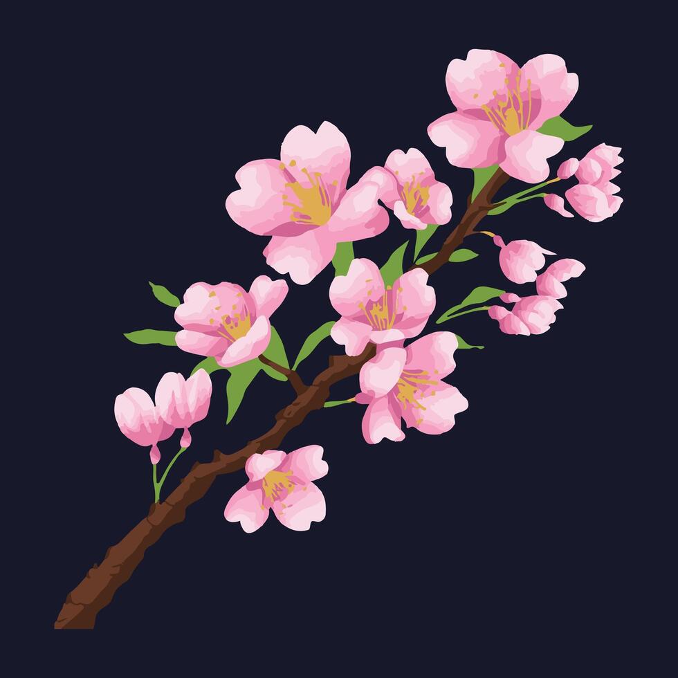 Cherry blossoms illustration vector