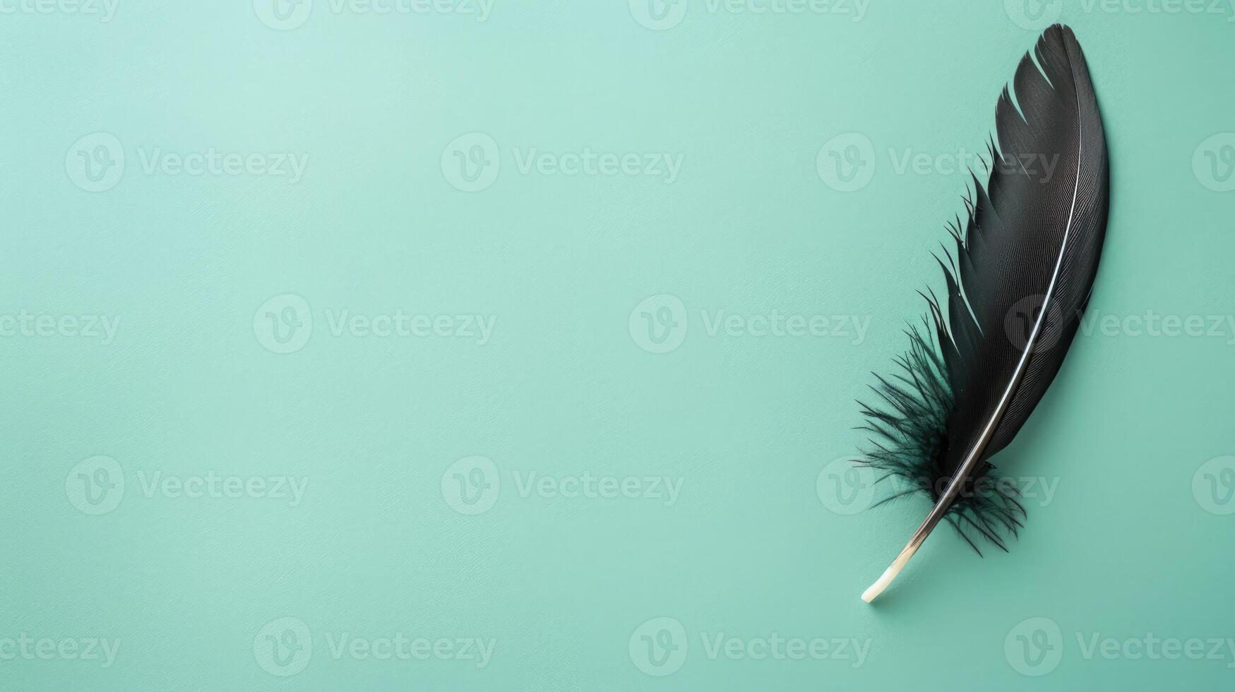 Feather quill pen on a mint green background with ample copyspace, classic writing tool photo