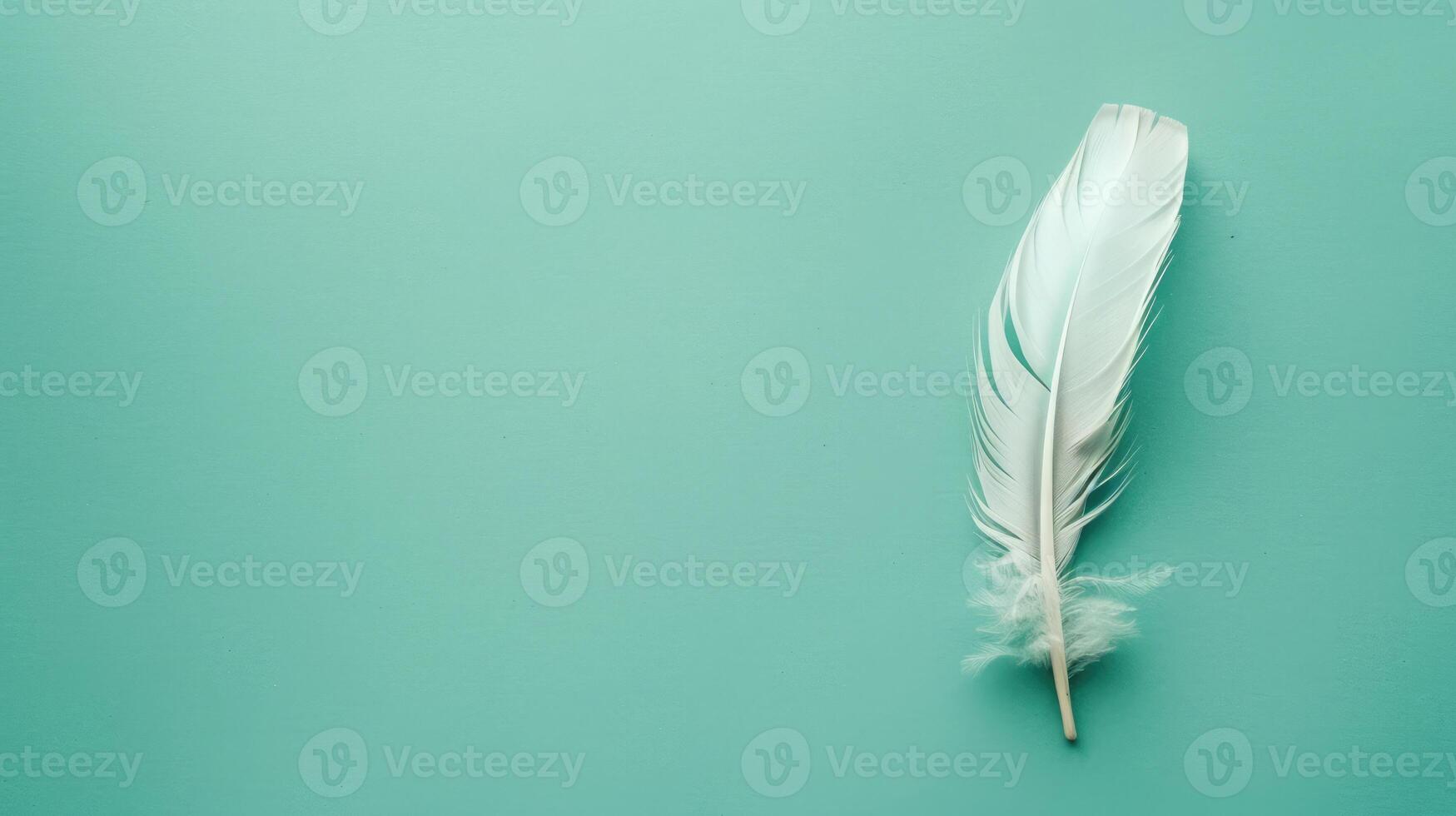 Artistic feather quill pen on a mint green background with generous copyspace photo