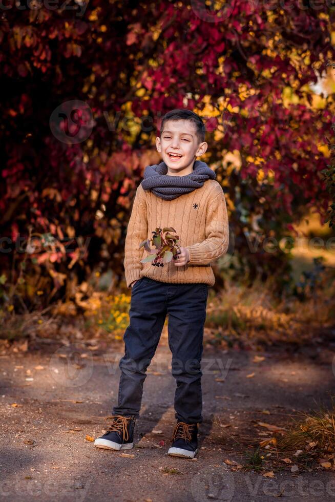 Handsome stylish boy standing in autumn park photo