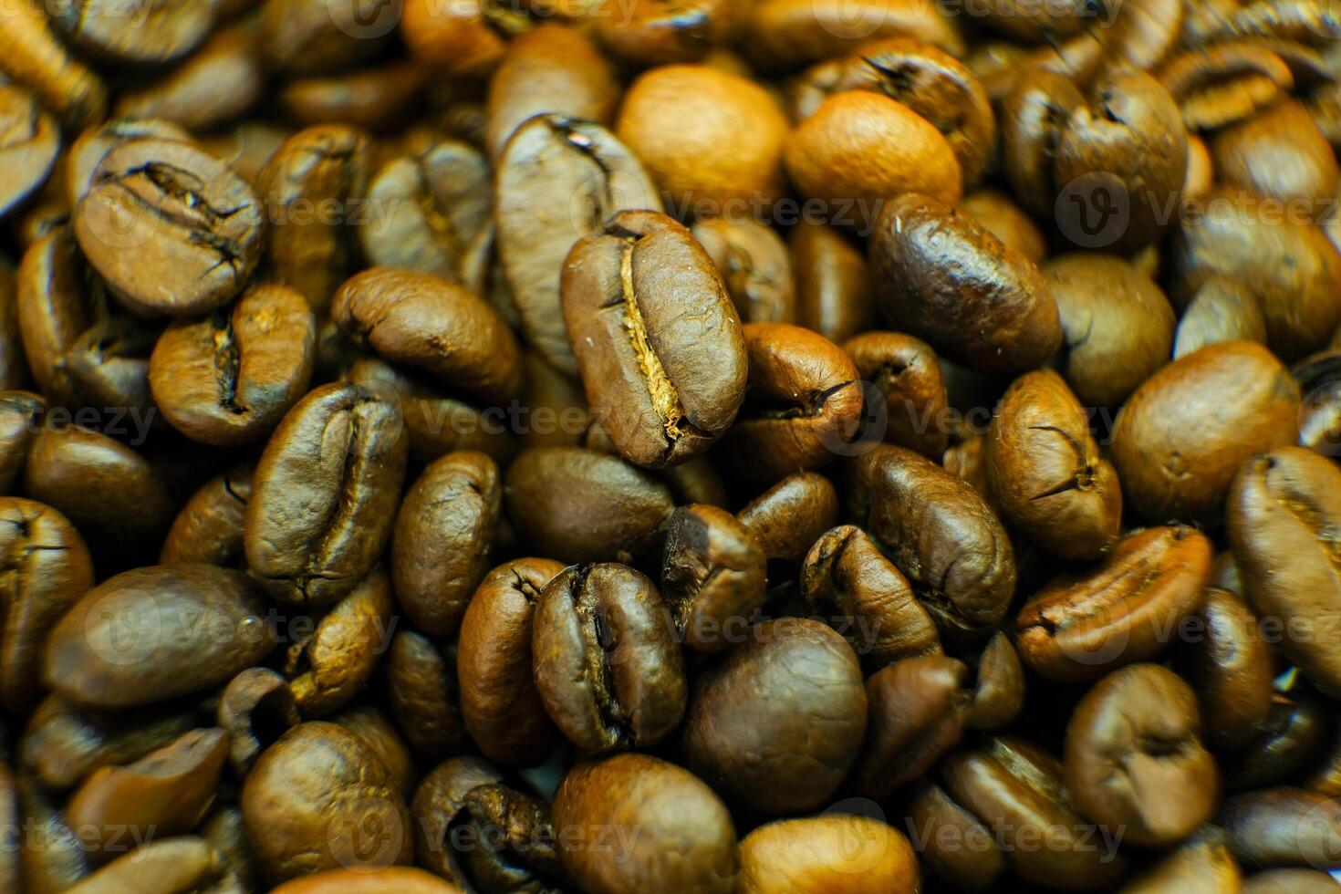 coffee beans close-up. roasted coffee beans.macro photo
