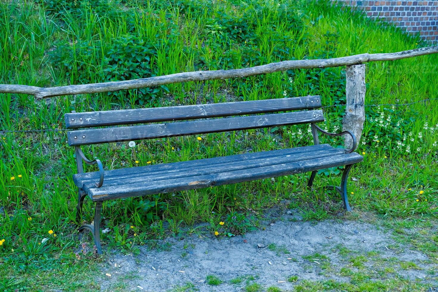 Bench in the summer park with old trees and footpath photo