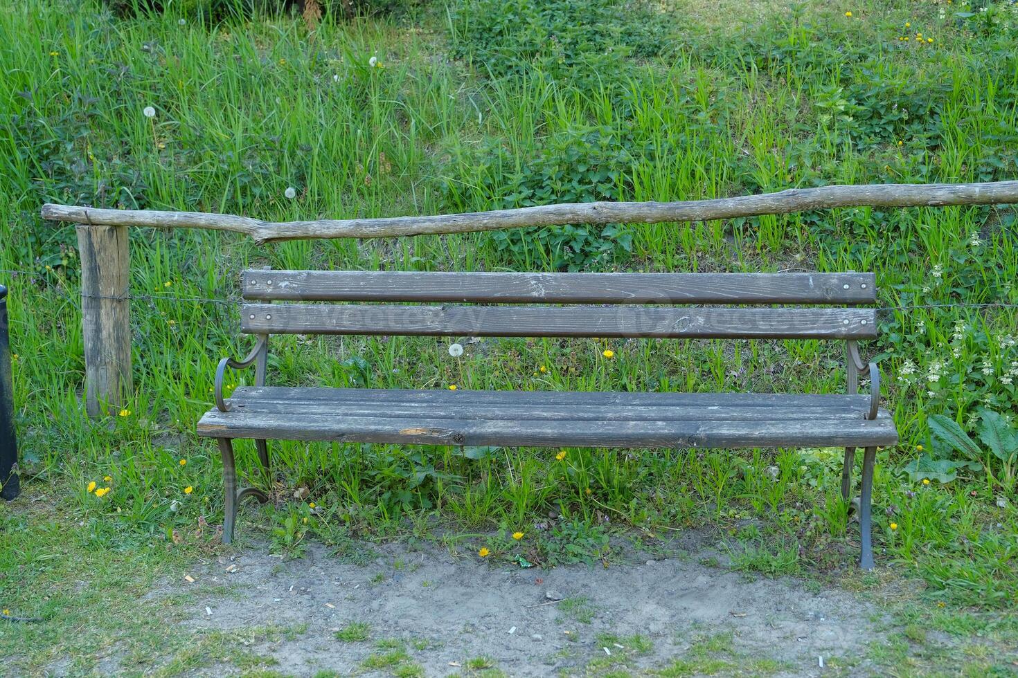 Bench in the summer park with old trees and footpath photo